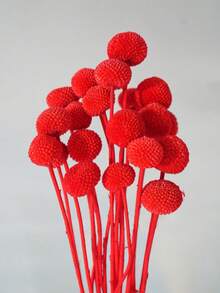 10/20pcs Artificial Stem Craspedia Yellow Billy Ball Flower Heads, Large Diameter Approx 1-1/2 Inch, For Home Decor, Photo Props, DIY Wedding Decoration - Red - View 4