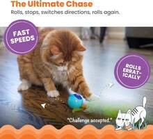Catstages Roll &Amp; Chase Robot Toy U2013Interactive Electronic Cat Toy For Indoor With Feather Teaser Tail, Lights, USB Rechargeable, Automatic Moving Action For Active Play, Mental Stimulation &Amp; Enrichment - trắng - Xem 2