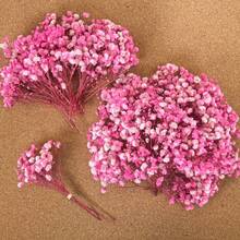 25/52/102/298 Pcs Artificial White Mini Baby's Breath Flowers, Vase Filler For Wedding, Home, Office, Party, Garden, Card Making, DIY Decor - Light Pink Baby's Breath - View 3