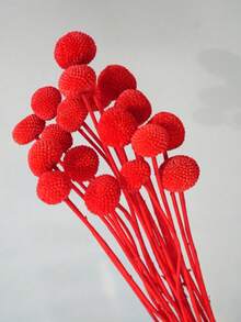 10/20pcs Artificial Stem Craspedia Yellow Billy Ball Flower Heads, Large Diameter Approx 1-1/2 Inch, For Home Decor, Photo Props, DIY Wedding Decoration - Red - View 3