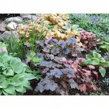 Outdoor Decor - 154 - ดู 5