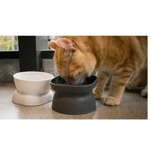 Slanted Design Pet Bowl, Suitable For Flat-Faced Kittens And Other Pets, Cat Bowl, Dog Bowl, Pet Feeding Bowl, Pet Supplies - Suitable for Both Cats and Dogs - View 11