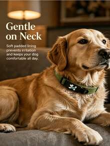 Collar para perro acolchado y cómodo, collar ajustable para mascotas con doble anilla en D, sin rozaduras ni arañazos, adecuado para perros pequeños, medianos y grandes, disponible en múltiples colores - Multicolor - Ver 5