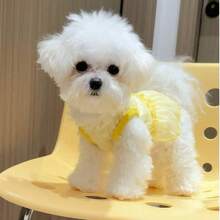 Đầm không tay hình trái tim rỗng, quần áo cho chó mèo, chất liệu nhẹ, thoáng khí, chống nắng cho chó Poodle và Bichon Frise, thích hợp cho mùa hè. - Nhiều màu - Xem 1