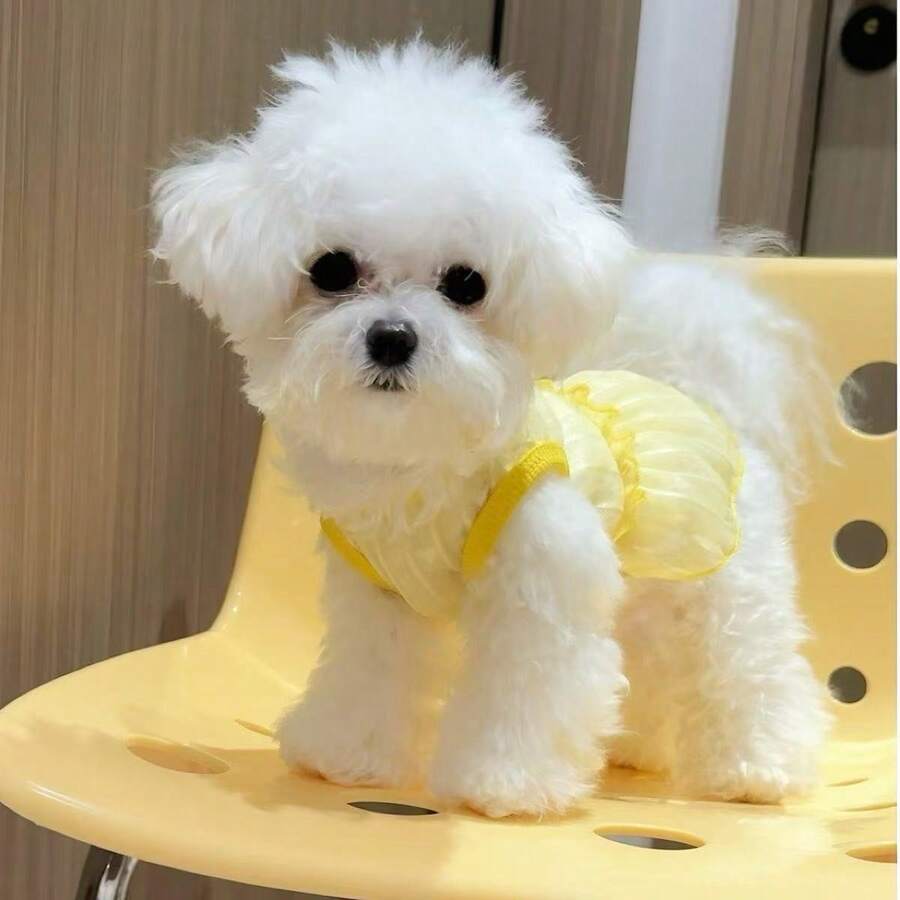 Đầm không tay hình trái tim rỗng, quần áo cho chó mèo, chất liệu nhẹ, thoáng khí, chống nắng cho chó Poodle và Bichon Frise, thích hợp cho mùa hè. - Nhiều màu - Xem 1