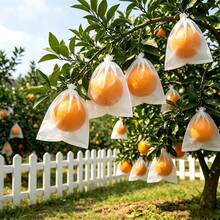 Aproximadamente 50 piezas Bolsas de malla blanca para aislar frutas - Previene la entrada de insectos y pájaros - Adecuado para viñedos y jardines - Aplicable para diversas frutas y verduras, protección para jardinería - alrededor de 50 piezas - Ver 7