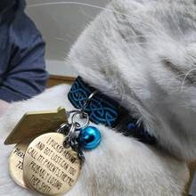 Kcsznk Funny Dog Tag,Stainless Steel Pet ID Tags, Personalized Got Lost Dog Collar Tag Puppy Tag Pet ID Tag,Call My Mom Before She Loses Her , Gift For Small Large Dogs Cats - ColorB - View 3