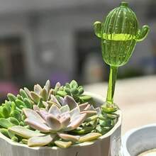 3个/1个球形自动浇水系统 – 室内植物和盆栽花卉自动滴灌 | 易于使用的植物浇水器，促进植物健康生长，是家庭和办公室花园的理想之选 - 仙人掌 - 查看 3