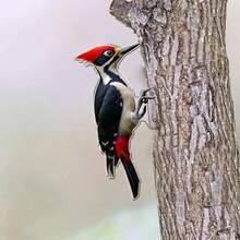 1pc Acrylic Woodpecker Wall Decor, Unique Woodpecker Attached To Tree Trunk, Weather-Resistant Outdoor Decoration For Garden, Patio Or Housewarming Gift, Adds Whimsical Flair To Any Space - A - View 1