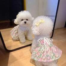 一件狗狗连衣裙，轻盈夏季公主裙，适合小型犬，如贵宾犬、泰迪犬、约克夏梗犬等宠物，带降温背心，可爱猫咪连衣裙，新款条纹夏季小猫连衣裙，防掉毛春秋连衣裙 - 綠色 - 查看 9