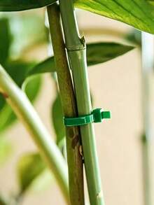 尼龍綠色植物支撐紮帶園藝繩 植物定型框架 園藝枝條綁紮工具 - A - 查看 5