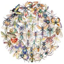 50pcs Insect Sticker Pack For Decorating Scrapbook, Planner, Skateboard, Guitar, Helmet, Mug - Multicolor - View 3