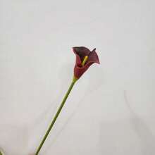 1/10/20件人造馬蹄蘭花束，人造花適用於婚禮、辦公室、派對、花園、農舍、餐桌、壁爐、秋季裝飾、感恩節、萬聖節、聖誕裝飾、派對裝飾、家居裝飾 - 彩色 - 查看 5