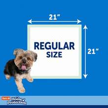 Alfombrillas de Entrenamiento Pads Home Pro 50 Piezas Cat accessories Pañales para perro Kitten Dog Arenero para gatos automático Arenero para gato grande - 1 - Ver 8