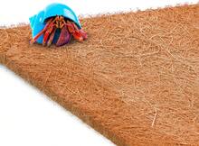 SunGrow Coco Fiber Hermit Crab &Amp; Reptile Carpet, Gecko Terrarium Liner, And Floor Bedding Substrate &Amp; Supplies, Climbing Wall Carpet &Amp; Mat For Hermit Crabs, 10" X 13", 1 Piece Per Pack - White - View 3