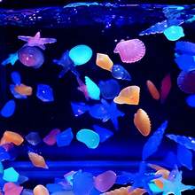 1 Set Glow-In-The-Dark Seashell And Starfish Decorations, Ocean Theme DIY Craft Supplies, Suitable For Home And Aquarium Decor, Beach Party Gifts - A - View 6