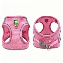 Small Dog, Puppy And Beginner Dog Braided Leash With Chest Harness - Multicolor - View 5