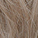 Piano Color