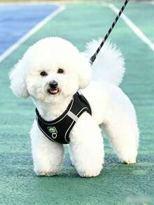Small Dog, Puppy And Beginner Dog Braided Leash With Chest Harness - Multicolor - View 2