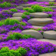 174 piezas de semillas de flores perennes - semillas de lavanda de colores variados - para cobertura de suelo en paisajes - rojo - 174 - Ver 3