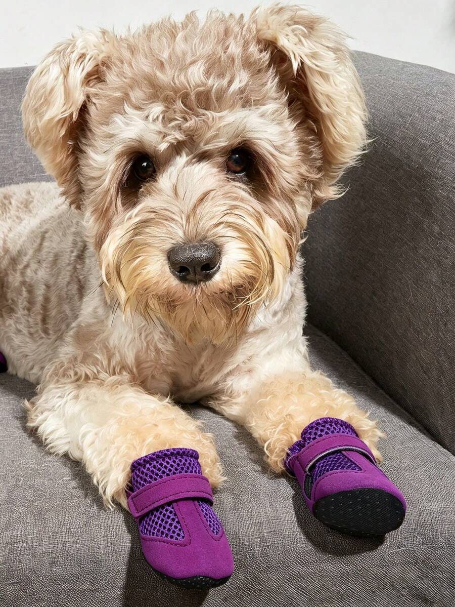 透气网面软底室内宠物鞋，适合泰迪犬/贵宾犬等小型犬穿着，舒适休闲。