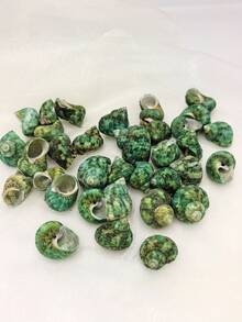 50g/100g/200g Beautiful Teal Seashells, Natural Conch Shells Suitable For Handicrafts, Aquarium Decor, Home Decor, Driftwood Bottle Filler, Party Candles, Bathroom Decoration - Set - View 3
