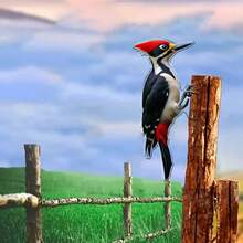 1pc Acrylic Woodpecker Wall Decor, Unique Woodpecker Attached To Tree Trunk, Weather-Resistant Outdoor Decoration For Garden, Patio Or Housewarming Gift, Adds Whimsical Flair To Any Space - A - View 2