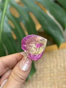 6件組隨機海洋動物髮夾套組，彩色熱帶魚與貝殼壓克力髮夾，可愛海洋風髮飾，適合女性與女孩 - 彩色 - 查看 3