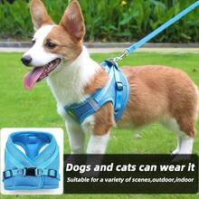 Reflective Pet Harness And Leash Set, Suitable For Dogs And Cats, Adjustable Small Dog Cat Vest Harness With Soft Mesh, Adjustable For Cats And Dogs Universal Supplies - Multicolor - View 10