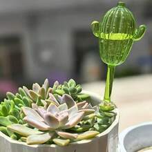 3个/1个球形自动浇水系统 – 室内植物和盆栽花卉自动滴灌 | 易于使用的植物浇水器，促进植物健康生长，是家庭和办公室花园的理想之选 - 仙人掌 - 查看 8