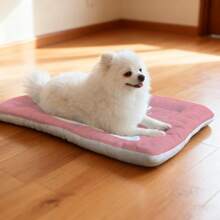 1pc Soft Pet Bed Cushion, Reversible Dog/Cat Kennel Mat With Geometric Text & Cat Pattern, Washable, Suitable For Small/Medium/Large Dogs, 4-Season Use - Multicolor - View 3
