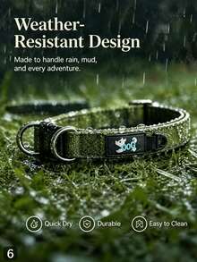 Collar para perro acolchado y cómodo, collar ajustable para mascotas con doble anilla en D, sin rozaduras ni arañazos, adecuado para perros pequeños, medianos y grandes, disponible en múltiples colores - Multicolor - Ver 8