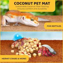 SunGrow Coco Fiber Hermit Crab &Amp; Reptile Carpet, Gecko Terrarium Liner, And Floor Bedding Substrate &Amp; Supplies, Climbing Wall Carpet &Amp; Mat For Hermit Crabs, 10" X 13", 1 Piece Per Pack - White - View 2