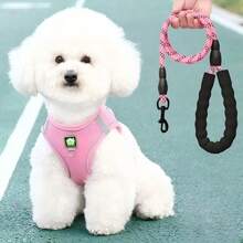 Small Dog, Puppy And Beginner Dog Braided Leash With Chest Harness - Multicolor - View 9