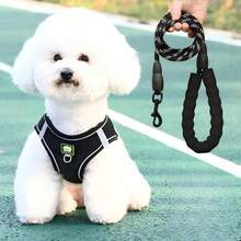 Small Dog, Puppy And Beginner Dog Braided Leash With Chest Harness - Multicolor - View 10