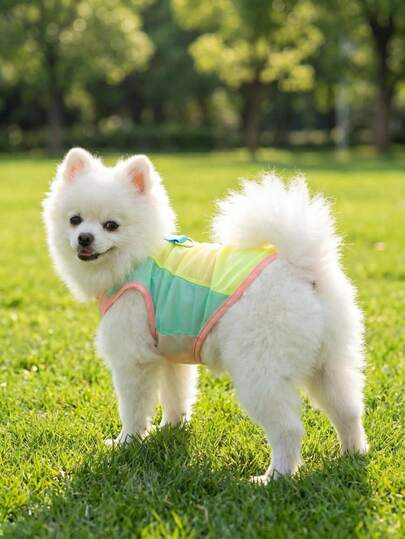 1 chiếc áo cho chó Shiba Inu, Pomeranian, Corgi, chống rụng lông, chống nắng, áo vest nhẹ thoáng khí cho mùa xuân/hè.