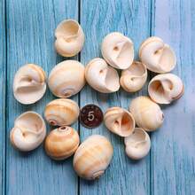 2pcs/5pcs Cat Eye Screws - Exquisite Handmade DIY Materials, Dreamy Ocean Style Home Decor, Aquarium Themed Wall And Home Decoration, Holiday Decoration, Halloween Gift - Set - View 11