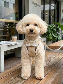 PETCHIC 3件組可愛卡通寵物胸背帶與牽繩套組，可調節可愛熊與水果印花狗狗背心，柔軟舒適網布狗胸背帶，適合貓咪與小型犬 - 彩色 - 查看 5