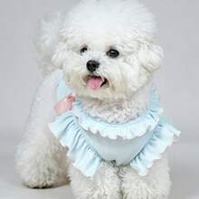 透氣小狗T恤 可愛公主風幼犬衣服 日常與派對穿搭 淺藍色荷葉邊飾寵物洋裝 - 淺藍色 - 查看 8