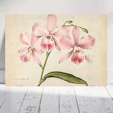 2D Plano, Pared de Orquídea Vintage - Marco Envolvente Botánico, Estilo Retro Minimalista Chino, HD Resistente al Desvanecimiento, Adecuado para Dormitorio, Decoración de Oficina - Elegante Orquídea Plana, 2D - Enmarcado - Ver 1
