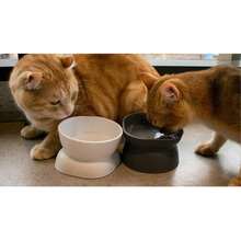 Slanted Design Pet Bowl, Suitable For Flat-Faced Kittens And Other Pets, Cat Bowl, Dog Bowl, Pet Feeding Bowl, Pet Supplies - Suitable for Both Cats and Dogs - View 9