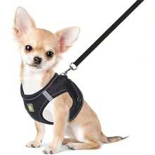 Reflective Pet Harness And Leash Set, Suitable For Dogs And Cats, Adjustable Small Dog Cat Vest Harness With Soft Mesh, Adjustable For Cats And Dogs Universal Supplies - Multicolor - View 20