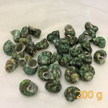 50g/100g/200g Beautiful Teal Seashells, Natural Conch Shells Suitable For Handicrafts, Aquarium Decor, Home Decor, Driftwood Bottle Filler, Party Candles, Bathroom Decoration - Set - View 13