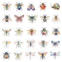 50pcs Insect Sticker Pack For Decorating Scrapbook, Planner, Skateboard, Guitar, Helmet, Mug - Multicolor - View 5
