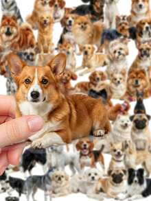 50 piezas de pegatinas lindas de razas de perros, calcomanías transparentes realistas y adorables de cachorros y mascotas esponjosas, ideales para diarios, scrapbooking, decoración de portátiles, botellas de agua, arte de papelería, manualidades DIY, regalos estéticos y recuerdos, útiles escolares - 7*6*1 - Ver 10