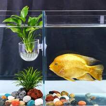 10入水族館裝飾植物 S/L 杯型壓克力水生植物杯 吸盤式植栽圓筒杯 水族裝飾工具 園藝用品 - A - 查看 7
