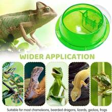 Chameleon Bowl, Reptile Feeder, Live Insect Feed Container, Water Dish, Chameleon Specialized Reptile Stone Platform Suction Cup Feeder, Chameleon Supplies Accessories (Suitable For Chameleons, Geckos, Snakes) - Style A - View 1
