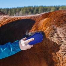 Silicone Horse Grooming Brush, Horse Brush, Equestrian Massage Tool, Suitable For Horse Care Products - Style A - View 7