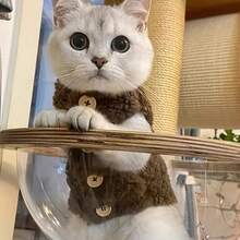 羊毛猫背心，保暖宠物服装，适合泰迪猫、小型猫狗，可爱室内/室外穿着，防掉毛 - 咖啡棕 - 查看 10