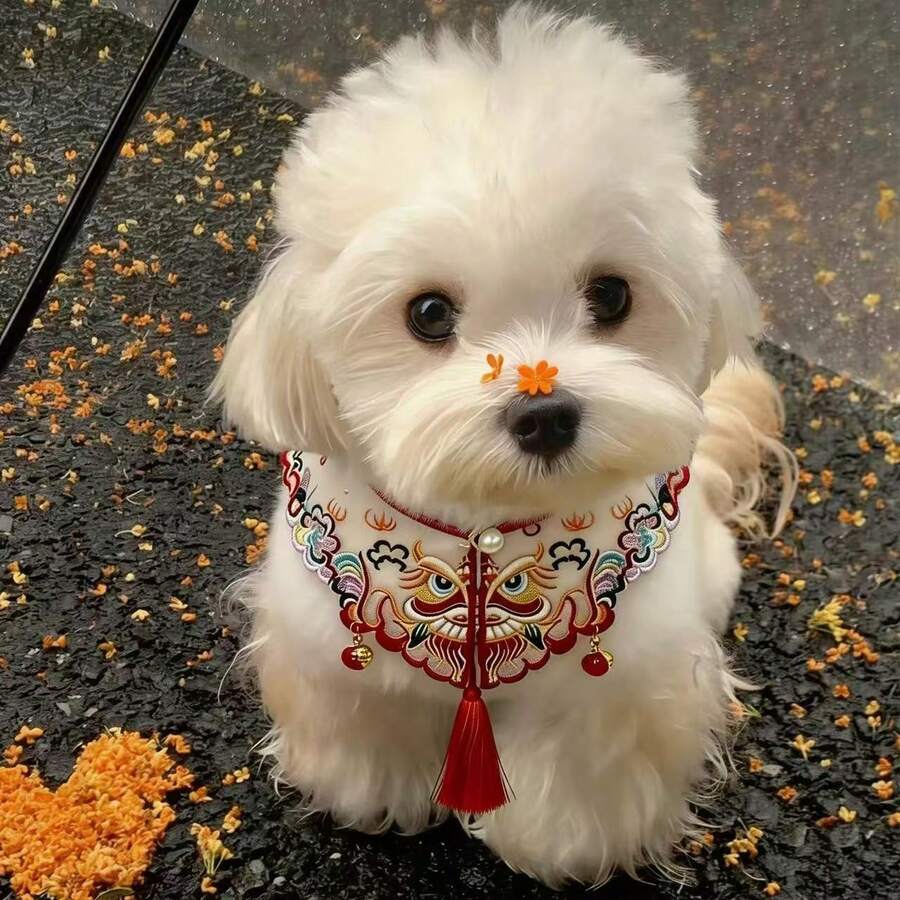 1pc Embroidered Drool Bib, Red Lion Dance, Auspicious Meaning, Lion Dance Pendant Tassel Shoulder Decoration, Pet Drool Bib, Bib, Suitable For Dogs And Cats